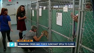 Suncoast SPCA to close