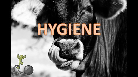Lessons To Learn About Hygiene