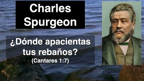 ¿Dónde apacientas tus rebaños? (Cantares 1,7) Devocional de hoy Charles Spurgeon