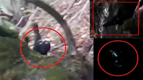 Unexplained Creatures Caught on Camera (Shocking Footage) Very Scary