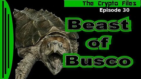 The Crypto Files | Beast of Busco | Ep30