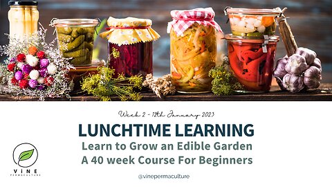 Edible Garden Planning: Seeds, Tools and Equipment - Lunchtime Learning Episode 2