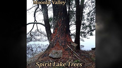 Song: Spirit Lake Trees by Moonlit Valley