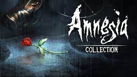 Playing Amnesia