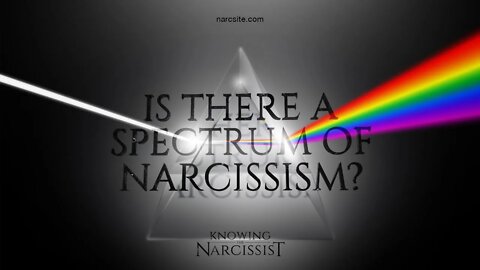 Is There a Spectrum of Narcissism?