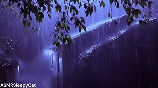 💤Autumn Rain and Wind Ambience ︱Deep SLEEP, Relieve Stress, Meditate⚡🌧