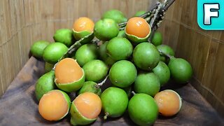 Mamoncillo | Fruits You've Never Heard Of