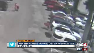 Shopping cart road rage