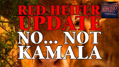 Red Heifer Update (No... Not Kamala) - The Diamond Report LIVE with Doug Diamond - 7/28/24