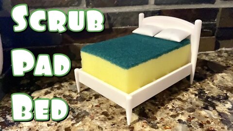 Adorable Kitchen Scrub Brush Bed Review