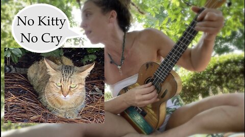 No Kitty No Cry - Cover/Parody of Bob Marley's "No Woman No Cry"