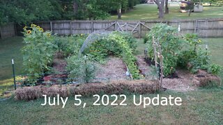 Garden Update, July 5, 2022