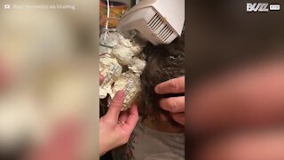 Little girl's hair gets tangled in food mixer while making cakes