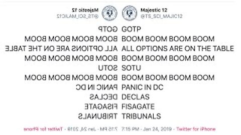 [MEQ #48: 11 March 2020] BOOM/NOTHING CAN STOP WHAT IS COMING; THE STORM - Majestic 12