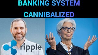 Banking System Cannibalized