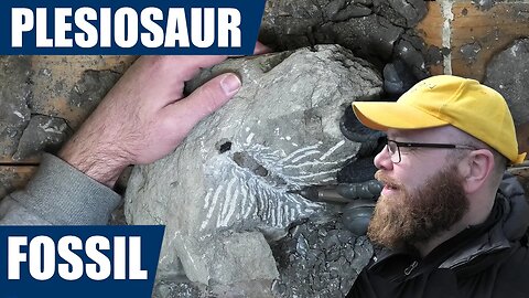 Plesiosaur fossil find and prep: looking for some dinosaur age fossils [prep included!]