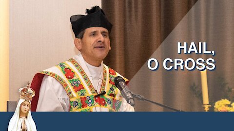 Hail, O Cross | A Brief Sermon by Fr. Michael Rodríguez