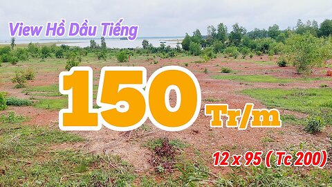 Đất Dầu Tiếng | bán gấp view Hồ Dầu tiếng 12 x 95 (tc 200) giá rẽ#571