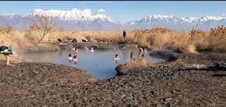 Natural Hot Springs ♨️ Utah Lake - Winter 2021