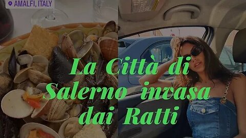 La Città di Salerno invasa dai Ratti | ma quali Ratti? (NO CLICKBAIT) #mouse #fiorde