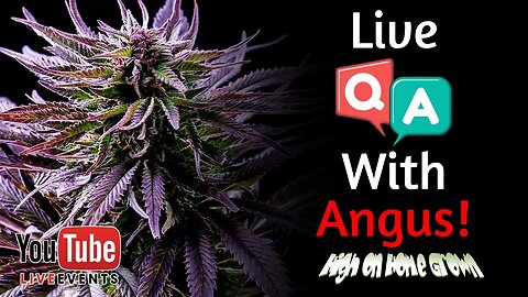 A Live Q & A with Angus from The Real Seed Company