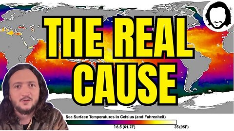 Even Left Media Won't Tell You One Thing About Climate Crisis