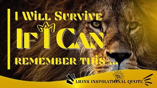 Lion Inspirational Video│The Power of the Lion's Heart🔥│Daily Quote│#quote #inspirationalquotes