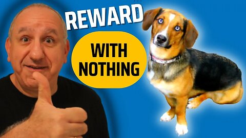 Teaching Dogs to Respond to Other Rewards-Breaking the Treat Habit