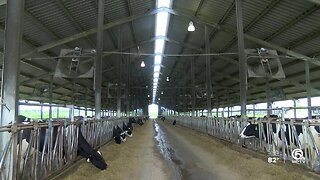 Okeechobee County company turning manure into natural gas