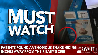 Parents found a venomous snake hiding inches away from their baby’s crib