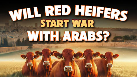 Will Red Heifers Start War with Arabs 04/23/2024