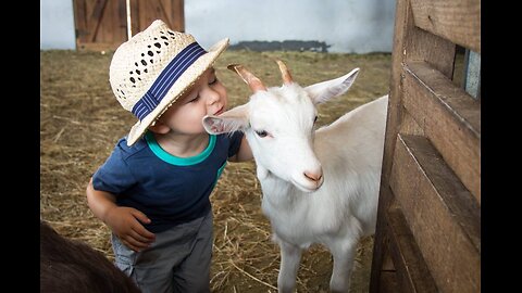 The CUTEST Baby Farm Animals! 🦙😻 | 20 Minutes Of Baby Animals