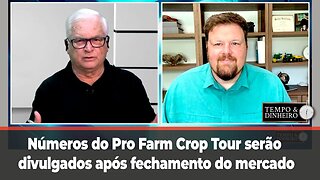 Soja nos EUA : Números do Pro Farmer Crop Tour serão divulgados após fechamento do mercado