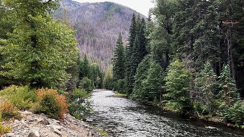 Perspectives of Bumping River from Bumping River Road! | 4K | Okanogan-Wenatchee | Washington