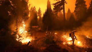 Fast-Moving Creek Fire Sets New Record In California