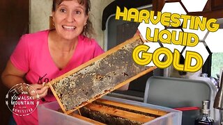 Honey Extraction: Sweet Success for Beekeepers | Electric Honey Extractor | Spring Honey Harvest