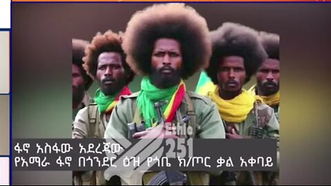 የአማራ ፋኖ በጎንደር ዕዝ የጎቤ ክ/ጦር ቃል አቀባይ ከሆነው ፋኖ አስፋው አደራጀው ጋር የተደረገ ቃለ-ምልልስ