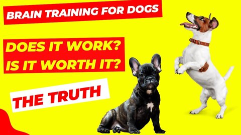 Brain Training For Dogs Review - Adrienne Farricelli - Brain Training Review