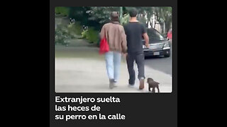 Extranjero deja tiradas las heces de su perro y se indigna cuando se lo reclaman