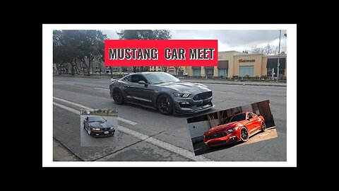 MUSTANG CAR MEET /vlog