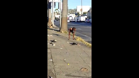 Look at the beautiful streets of Hollywood man those Democrat policies are really cleaning up.