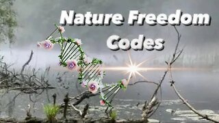 Nature Freedom Codes