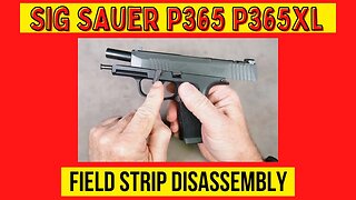 SIG P365 Field Strip. How to Disassemble a Sig Sauer P365 or P365XL