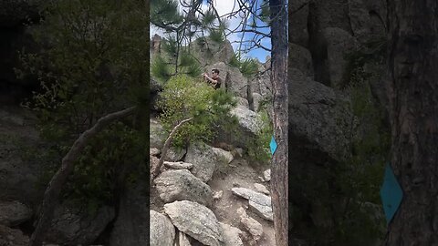 Climbing Around Mount Rushmore In South Dakota