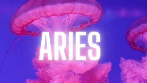 #aries♈️ #piscesseason- the battle for the house begins