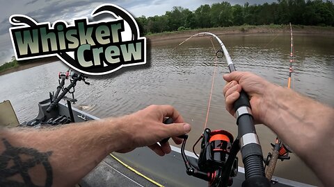 Searching Missouri River for Fish with Whiskers