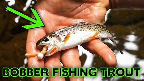Bobber Fishing For TROUT How To! (Creek Fishing)