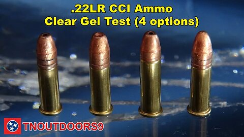 .22LR CCI Ammo Clear Gel Test (4 options)