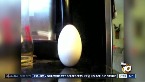 Eggs can balance on the Equinox?