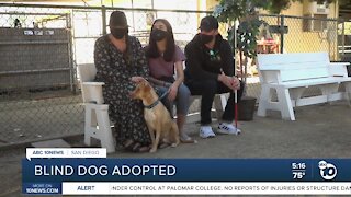 San Diego rescue dog without eye adopted by blind veteran